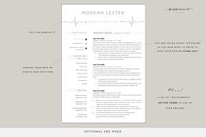 Professional Resume Template Nurse