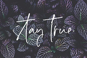 Rising Moon Handwritten Font, a Script Font by VladCristea (Thumbnail 7 of 9)