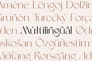 Nightfall - Modern Luxury Sans-Serif, a Sans Serif Font by Studio Aurora (Thumbnail 13 of 17)