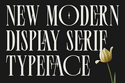 Palmer Florida, a Serif Font by zeenesia (Thumbnail 12 of 18)