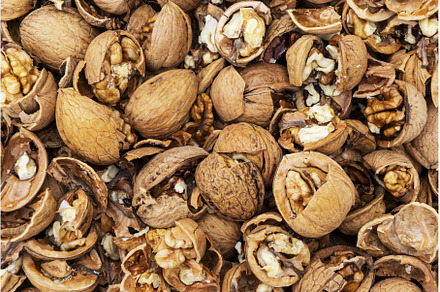 A lot Crushed walnuts with skin, a Food & Drink Photo by shahin.mammadov