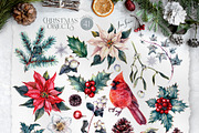 Cardinal Bird Watercolor Christmas, a Decorative Illustration by Inna Sinano (Thumbnail 6 of 10)