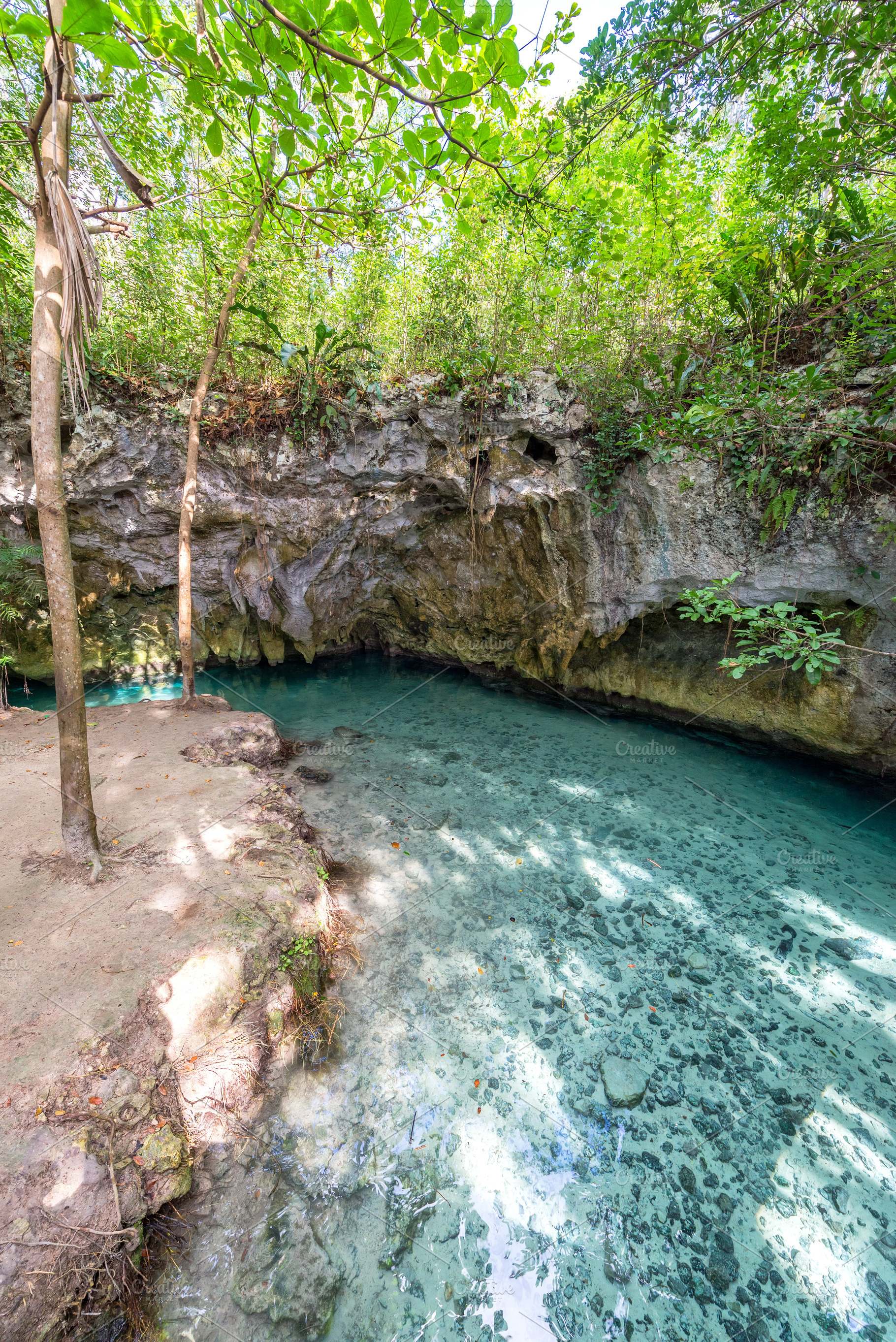 Cenote near Tulum, Mexico, a Nature Photo by JK Travel Photos