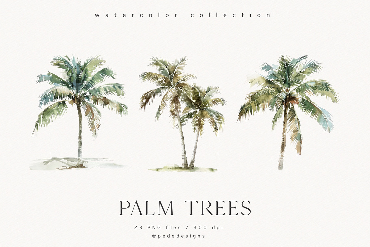 Palm Trees, a Decorative Illustration by PeDe Designs (Photo 5 of 9)