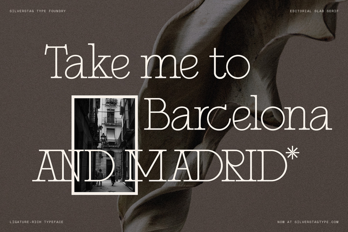 Alorisse – Editorial Ligature Font, a Font by SilverStag Type Foundry (Photo 17 of 20)