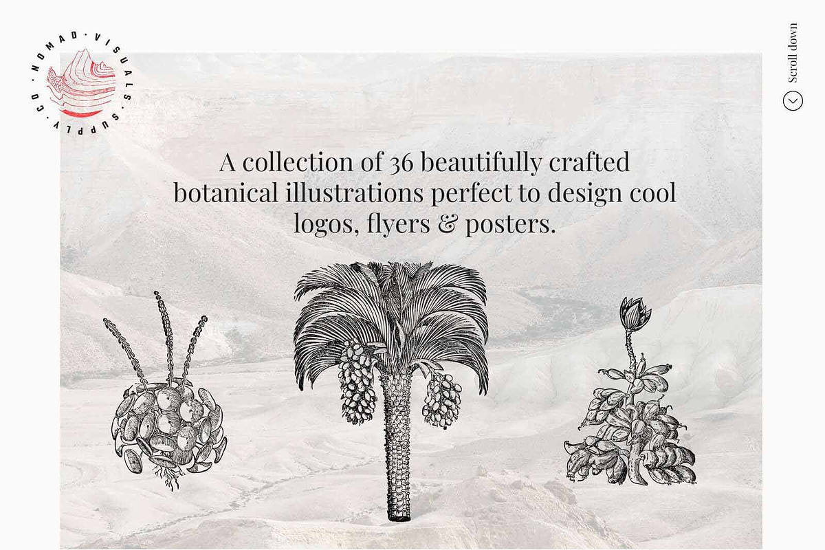 Vintage Bundle - 6600+ Illustrations, an Object Graphic by Nomad Visuals (Photo 14 of 46)