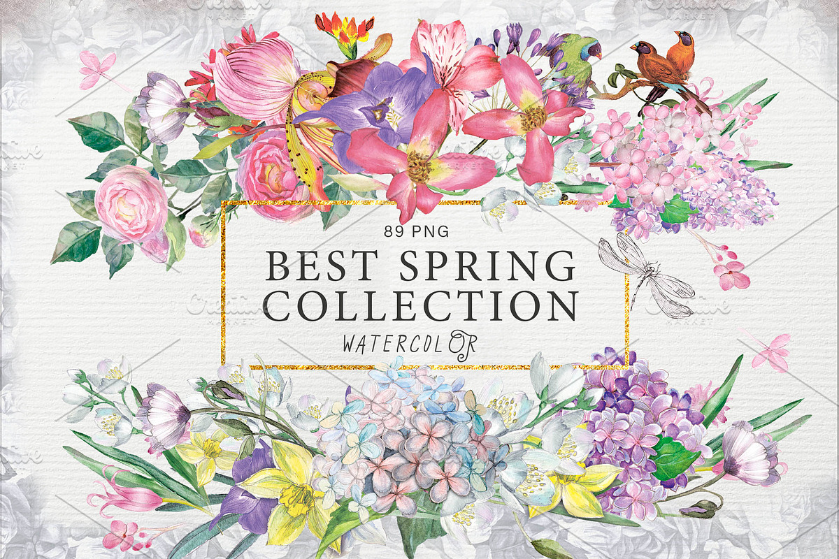 BEST SPRING FLOWERS, an Illustration by Alisa Mikibith Art (Photo 1 of 17)