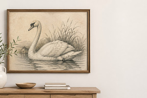Swan decor sketch framed on wooden w, a Photo by Dvoevnore photos