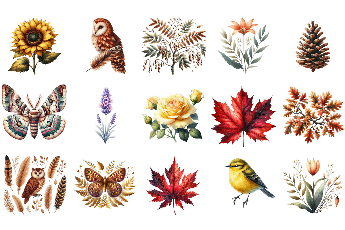 Florals and Woodland Clipart, an Illustration by Designking (Photo 3 of 5)