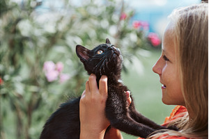 Girl holding black kitten and, an Animal Photo by HalfPoint
