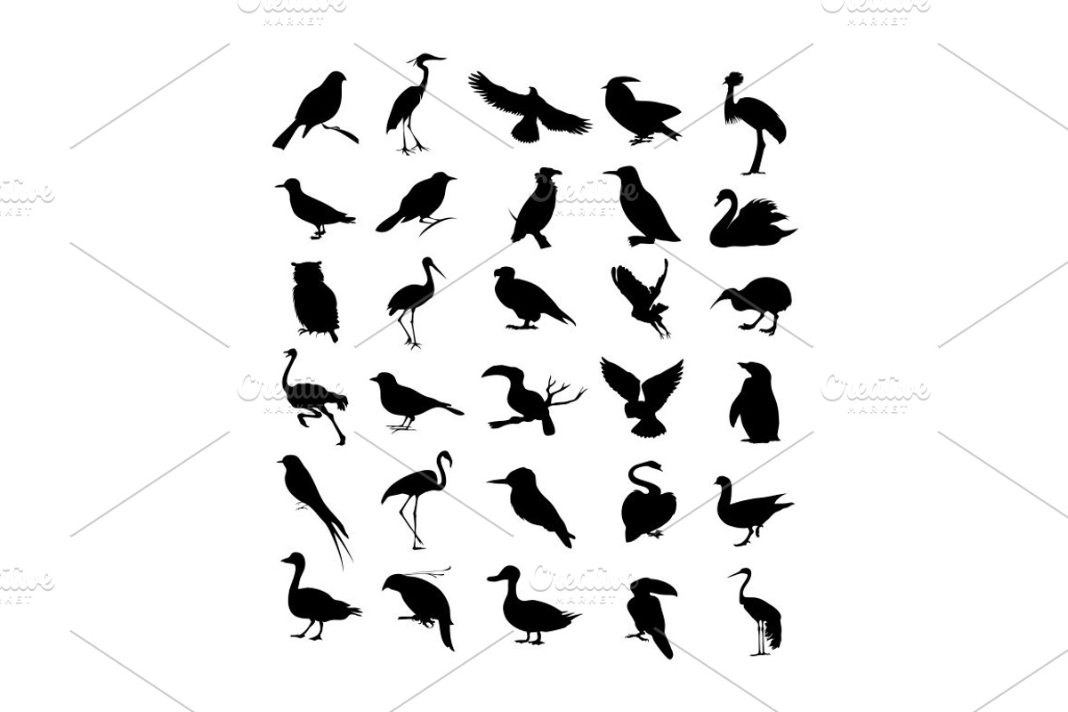 Bird silhouette, an Animal Illustration by Vector