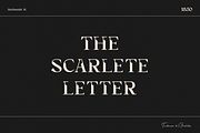 Tittowest Modern - Vintage Typeface, a Slab Serif Font by Haksen (Thumbnail 5 of 12)