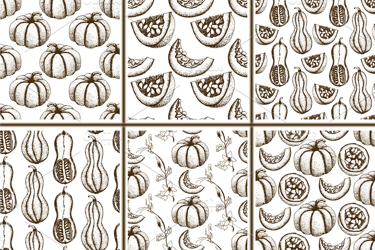 Hand drawn vintage pumpkins, a Decorative Illustration by Elena Mykhailenko (Photo 4 of 5)