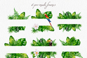 Tropical Collection Watercolor