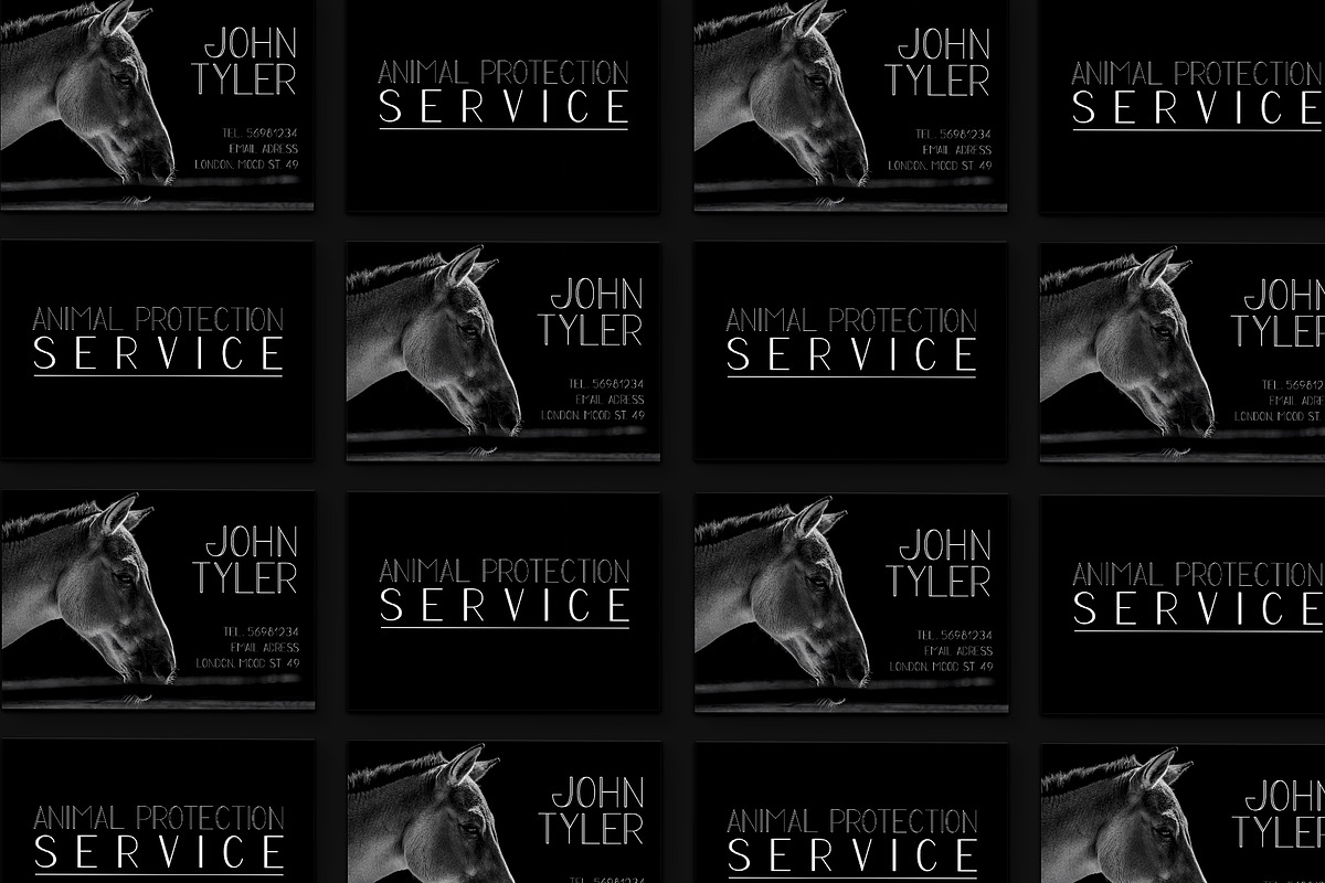 PROTECT Sans Serif Font Family preview 6