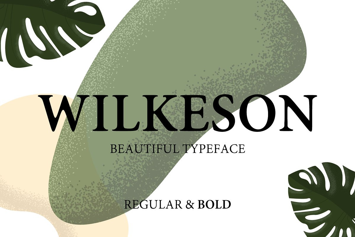 The Modern Serif Font Bundle, a Serif Font by Design 265 (Photo 31 of 33)