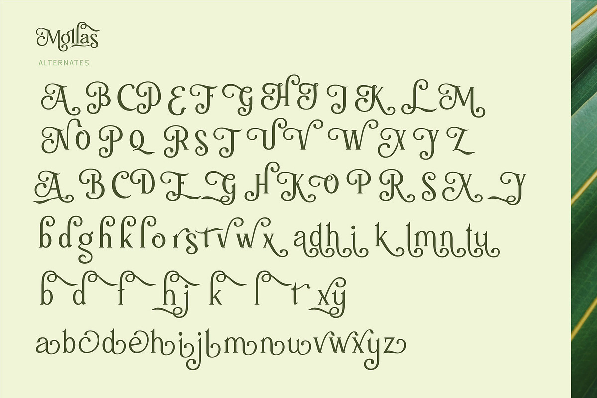 Mollas Typeface, a Serif Font by alit design (Photo 7 of 18)