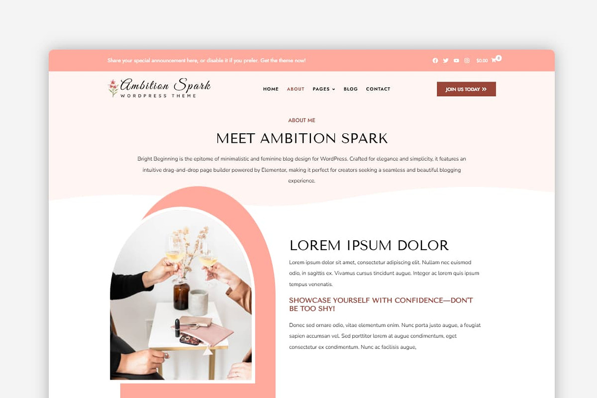 Ambition Spark WordPress Theme preview 2