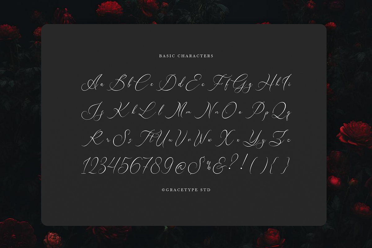 Avilantery Elegant Calligraphy, a Script Font by gracetype_studio (Photo 10 of 12)