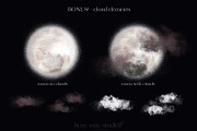 Forest Illustrations Mystic Autumn, an Animal Illustration by Busy May Studio (Thumbnail 15 of 20)