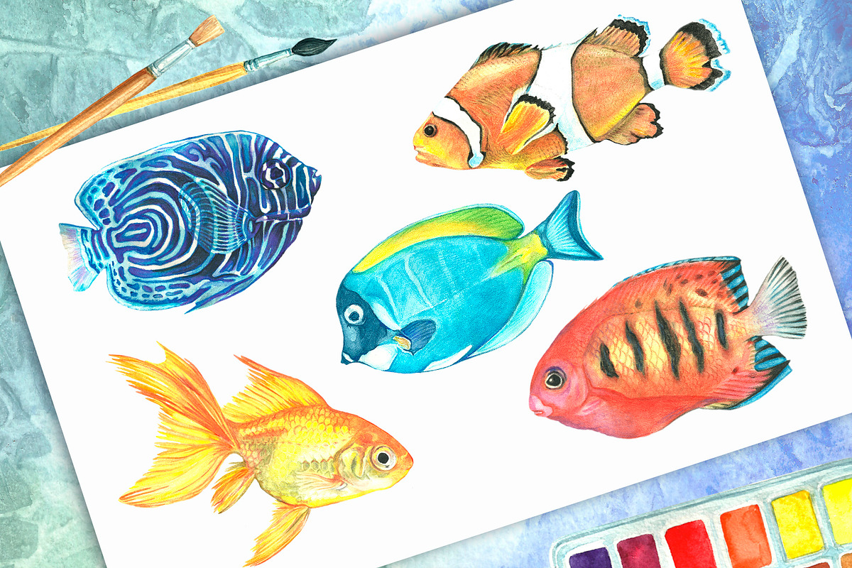 Watercolor tropical fish, an Illustration by Art Watercolor (Photo 4 of 8)