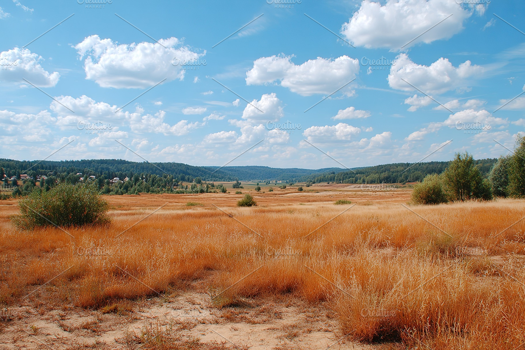 Unfolding landscape above distant forest edge reveals serene beauty under brigh, a Nature Photo by AlyaAnd