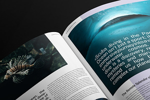 Internals Magazine Template