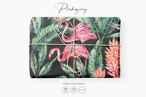 Flamingo, Patterns Set!