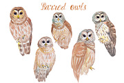 Watercolor Owls Bundle - 53 Owls, an Animal Illustration by YesFoxy (Thumbnail 5 of 11)
