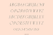 CYTRONI Modern Mix Font Duo, a Serif Font by ana & yvy (Thumbnail 30 of 34)