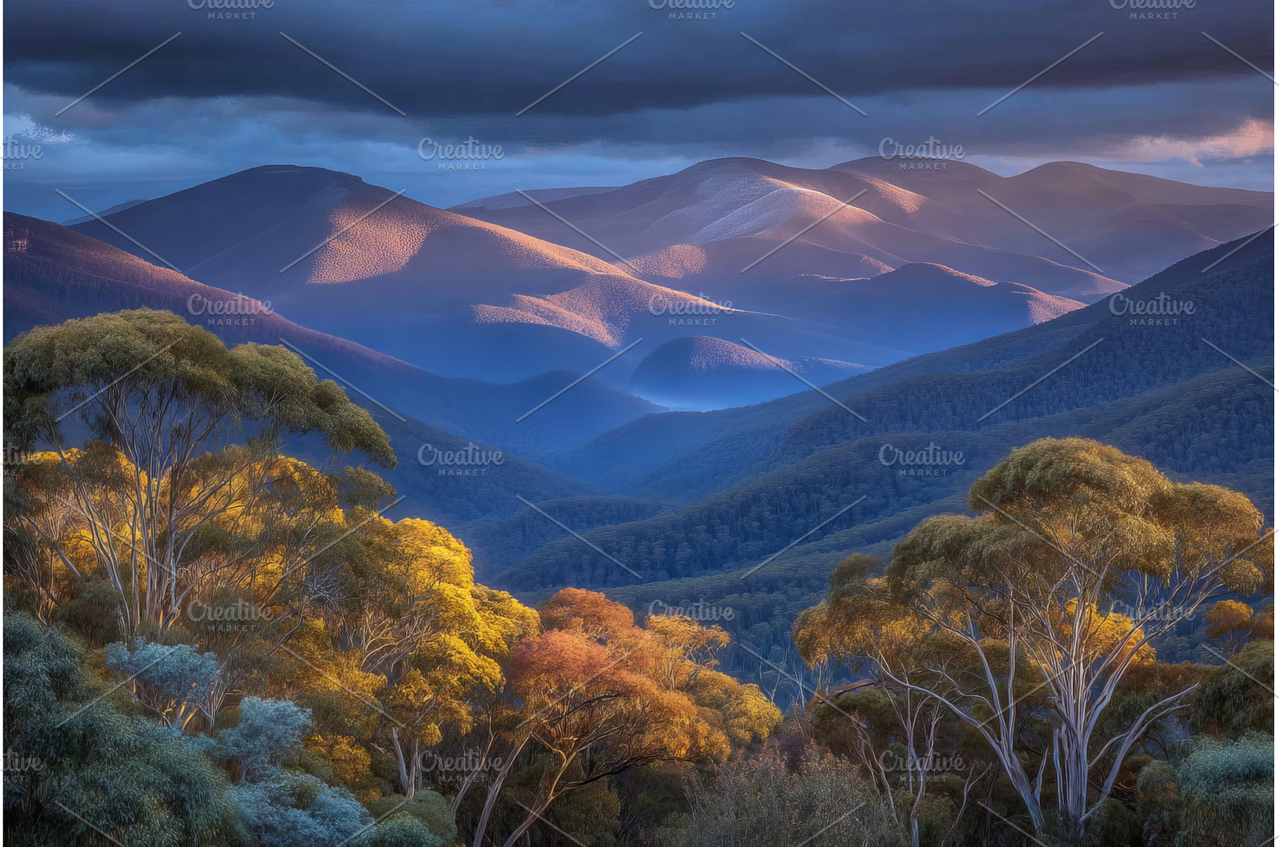 The beauty of Queensland, Australia, a Nature Photo by ZinetroN