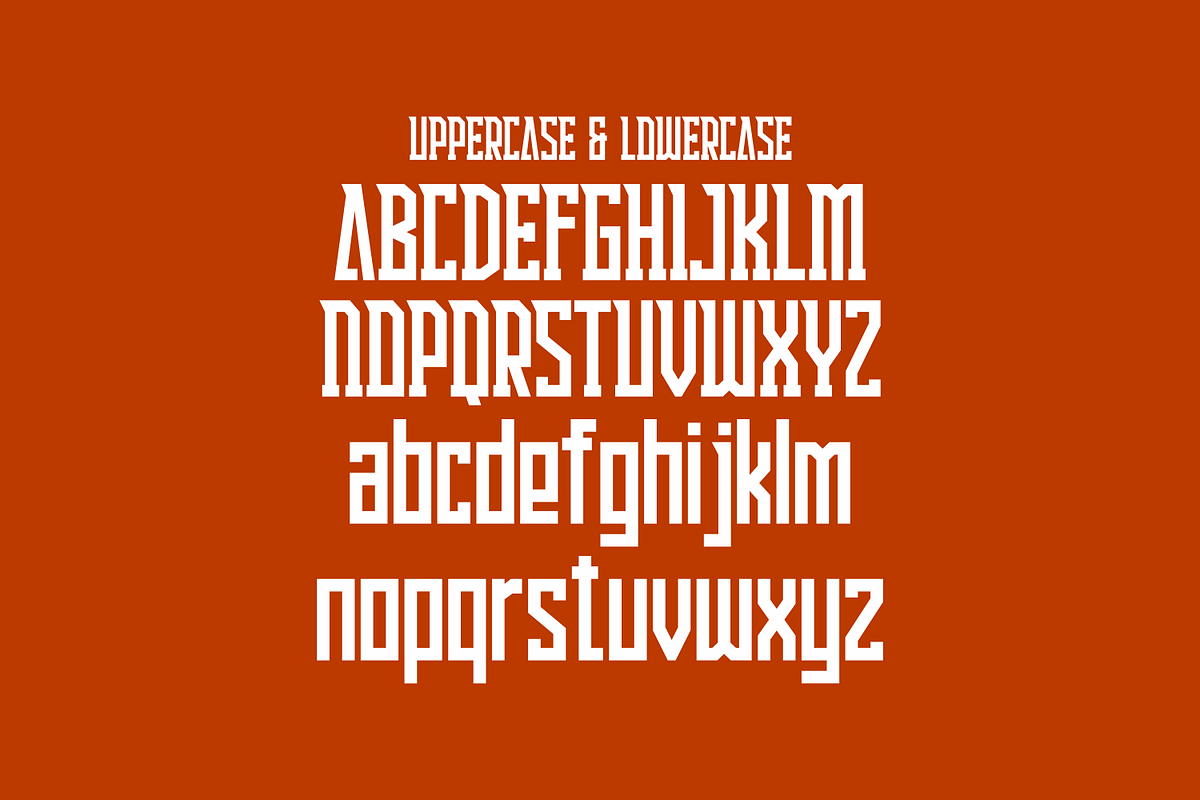 Erasin, a Serif Font by lelevien (Photo 5 of 6)