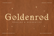 Goldenrod – Medieval Decorative, a Serif Font by Typehand Studio (Thumbnail 1 of 10)