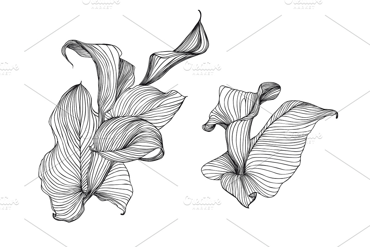 Calla seamless pattern + bonus, a Pattern Graphic by Crazy nook (Photo 2 of 2)