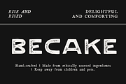 Rosebud - Vintage Letterpress Font, a Sans Serif Font by Graphicfresh (Thumbnail 7 of 8)