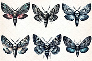 Watercolor Gothic Moth Clipart, an Illustration by DreamCafeArt (Thumbnail 3 of 7)