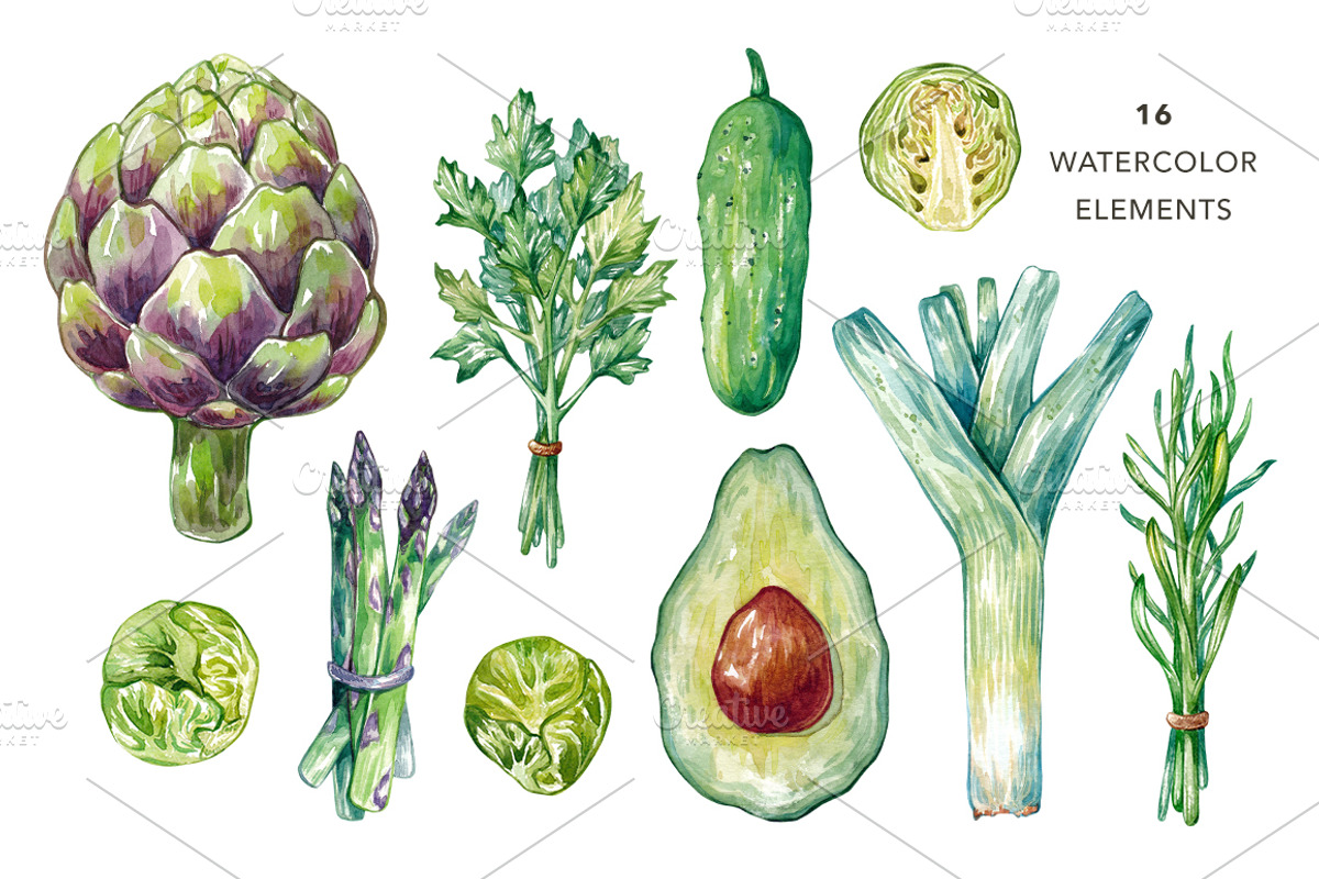 Green Vegetables. Watercolor Bundle, an Illustration by Olga Olmix (Photo 2 of 10)