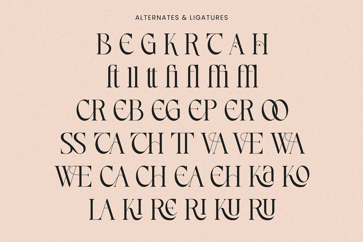 Andriani, a Serif Font by HATFSTUDIO (Photo 9 of 9)