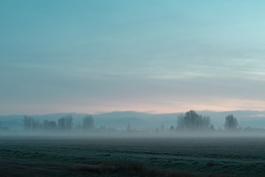 Morning Fog Over Field, a Nature Photo by Virgo Studio