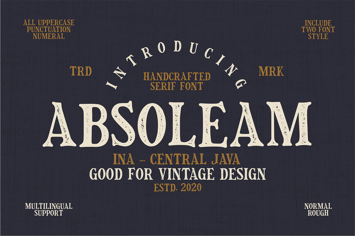 Absoleam Vintage Rough, a Sans Serif Font by 24Design Studios (Photo 1 of 7)
