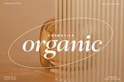 Likethat Font, a Serif Font by zeenesia (Thumbnail 16 of 20)