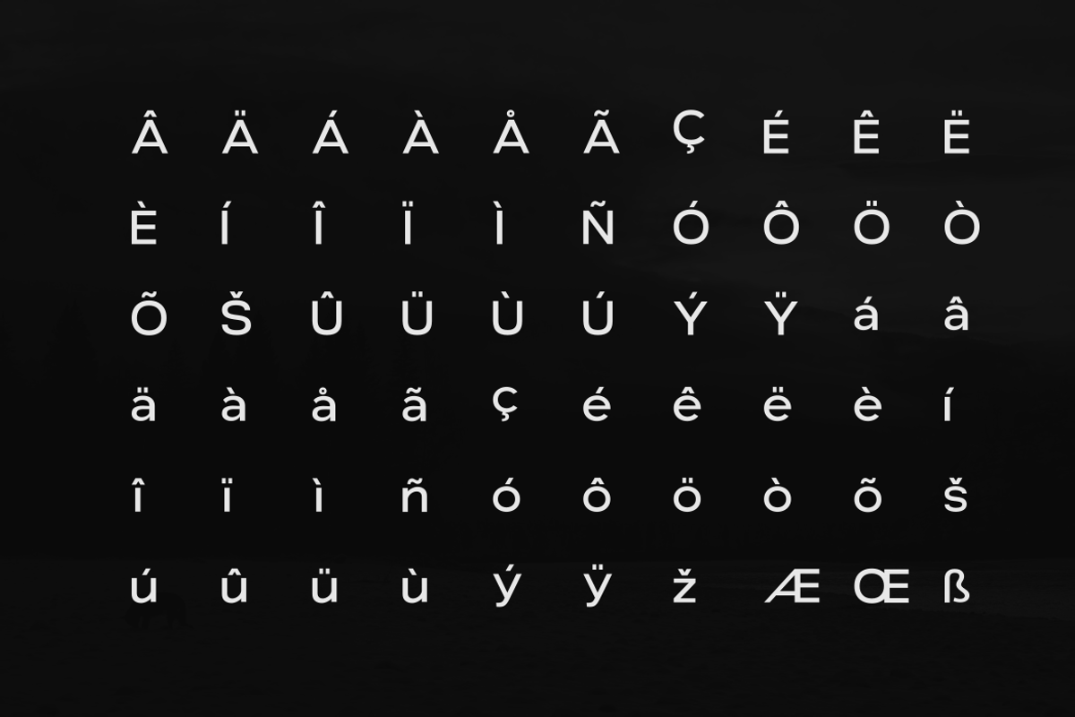 Stark Nue - a Premium Sans-serif, a Sans Serif Font by Webhance Studio (Photo 10 of 10)