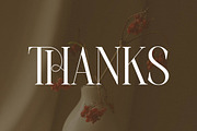 Charthe Modern Font Serif, a Serif Font by Storytype Studio (Thumbnail 15 of 15)