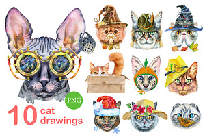 Watercolor cats. Set 7