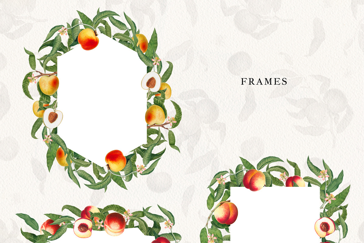 Vintage Peach Graphic Collection #03, an Object Graphic by Olga Begak Art & Design (Photo 5 of 8)