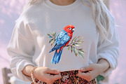 Parrots Watercolor Clipart, an Illustration by designcity5 (Thumbnail 5 of 5)