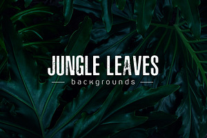 Tropical leaves backgrounds, jungle, a Nature Photo by TheMountBirdStudio