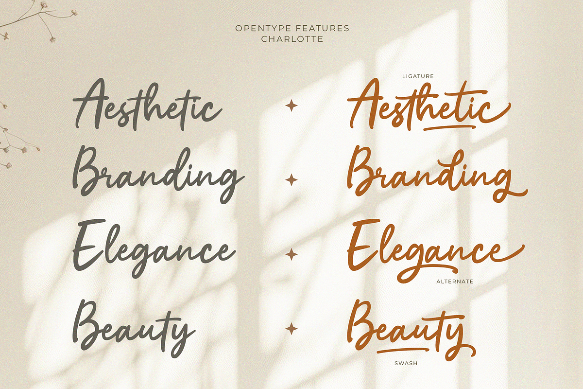 Charlotte Classic Elegance Script, a Handwritten Font by Portocraft (Photo 9 of 10)