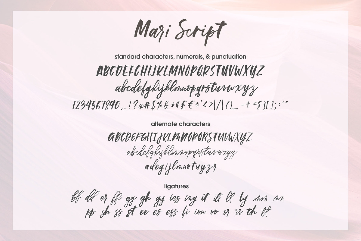 Mari Script, a Script Font by Poppy Lettering & Design (Photo 13 of 13)