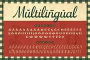 Tenford - Vintage Duo Font, a Script Font by Artisan Themes (Thumbnail 10 of 11)